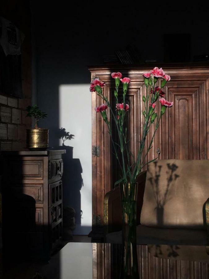 Apartamenty Ogrodowa - Lublin 700 エクステリア 写真