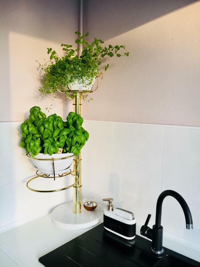 Apartamenty Ogrodowa - Lublin 700 エクステリア 写真